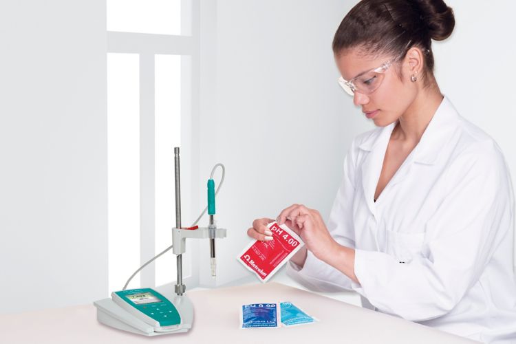 Promotion 913 pH meter
